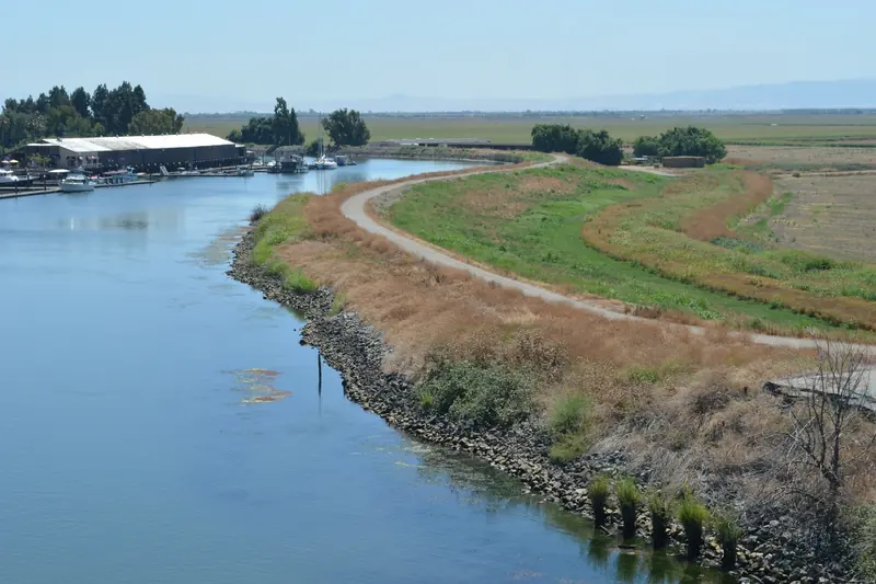 Photo of a rock-armored levee road bending along a channel in the Sacramento-San Joaquin Delta, farm fields below